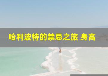 哈利波特的禁忌之旅 身高